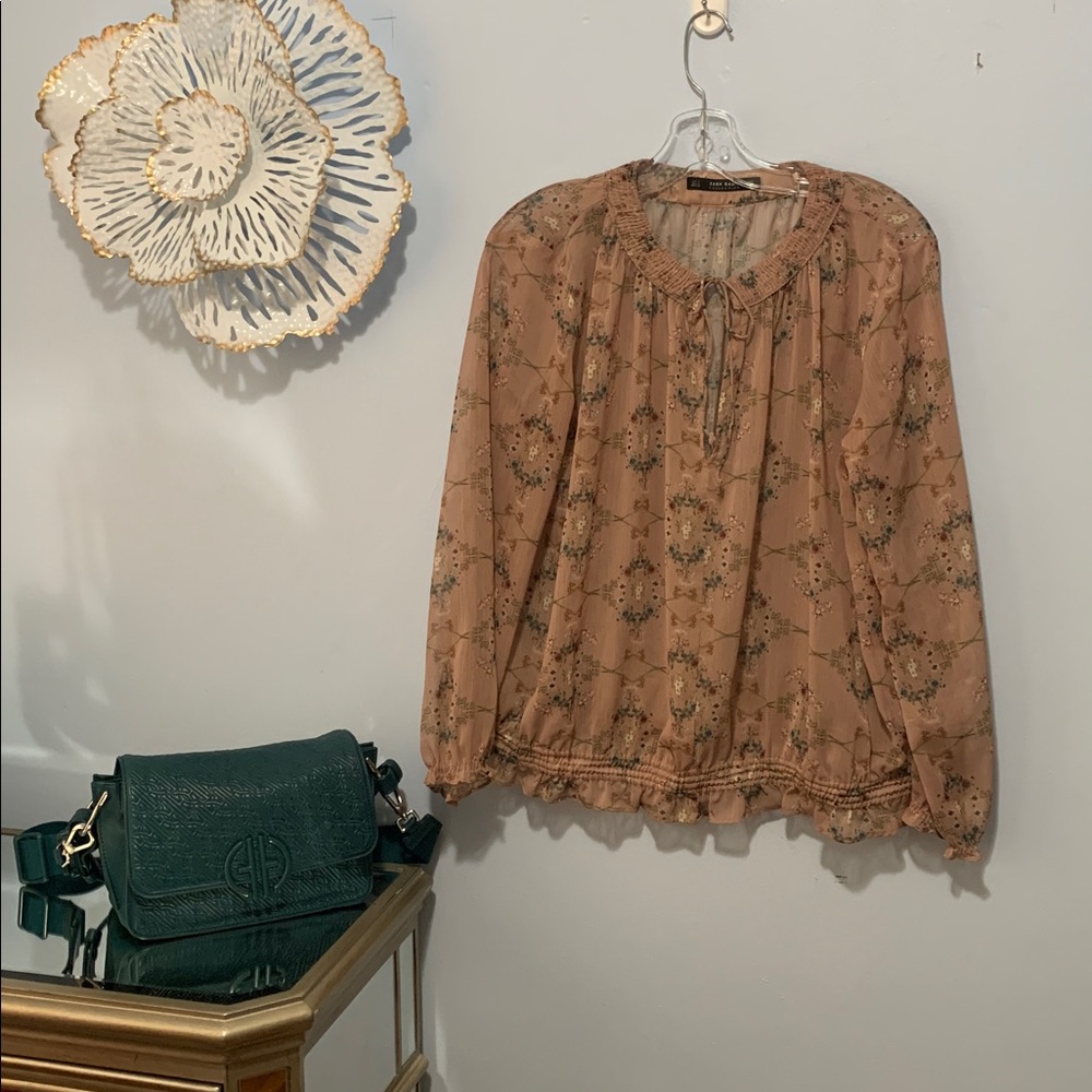 Zara sheer pretty Blouse size large